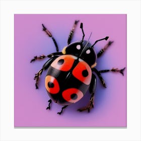 Ladybug 2 Canvas Print