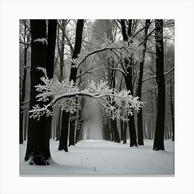 Snowy Forest 2 Canvas Print