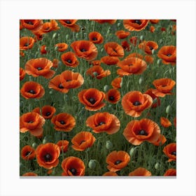 Poppy Field 2 Canvas Print