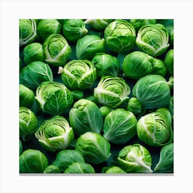 Brussels Sprouts 12 Canvas Print