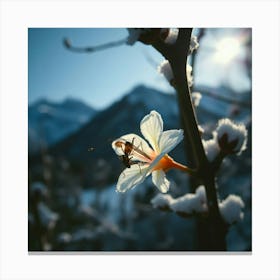 Bee On A Flower Canvas Print