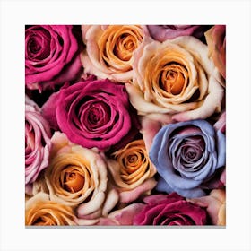 Colorful Roses Canvas Print