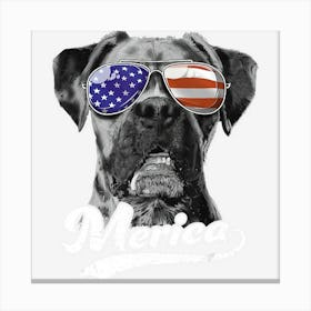 Hot Trend Boxer Sunglasses Usa American Flag 4th Of July Canvas Print