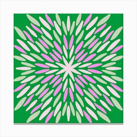 Petal Burst - green and pink Canvas Print