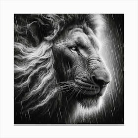 Lion In The Rain 1 Canvas Print