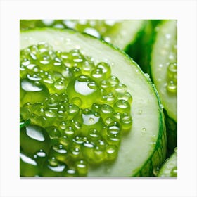 Cucumbers With Water Droplets Canvas Print
