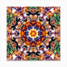 Dragon Ball Mandala Canvas Print