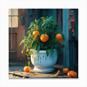 Oranges In A Pot 4 Canvas Print
