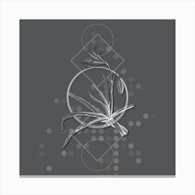 Vintage Amaryllis Broussonetii Botanical with Line Motif and Dot Pattern in Ghost Gray n.0007 Canvas Print