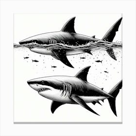 Line Art shark Canvas Print