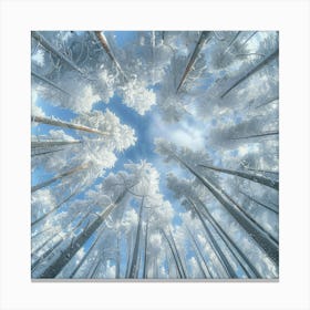 Snowy Forest 5 Canvas Print