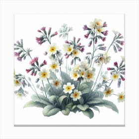 Flowers of Cowslip 3 Canvas Print