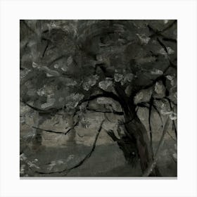 Tree In The Park Canvas Print