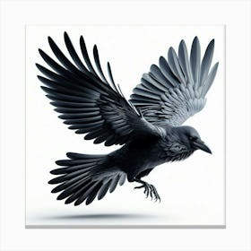 Flying Crow Canvas Print