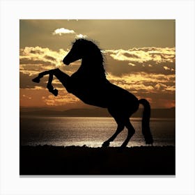 Silhouette Of A Horse Canvas Print