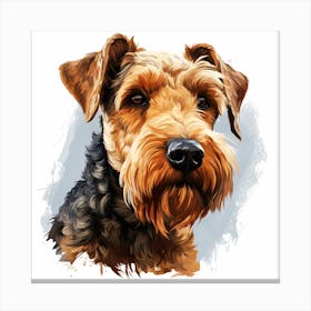 Portrait Of A Welsh Terrier Canvas Print