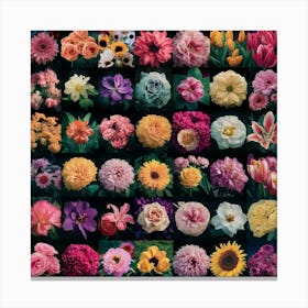 Flowers In The Garden Canvas Print