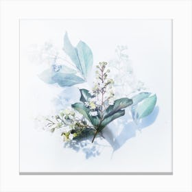 Flowers On A White Background Canvas Print