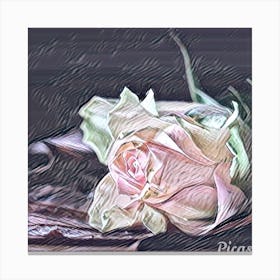 Pink rose 1 Canvas Print