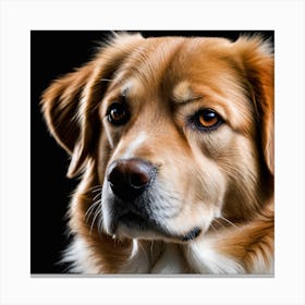 Golden Retriever Dog Portrait Canvas Print