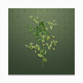 Vintage Tree Fuchsia Botanical on Lunar Green Pattern n.2079 Canvas Print