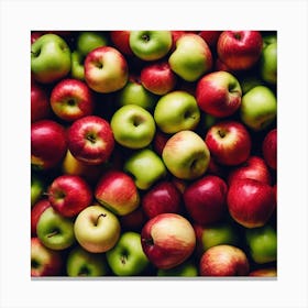 Red And Green Apples 7 Canvas Print