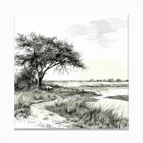 A Hwange National Park In Zimbabwe Hand Drawn Canvas Print