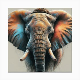 Elephant Head Canvas Print