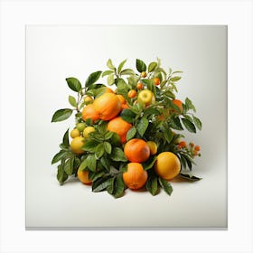 Citrus Tree Canvas Print