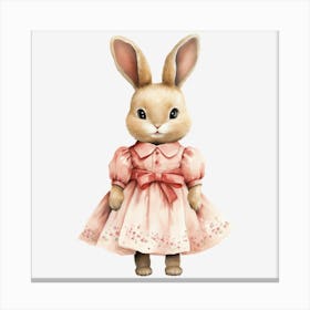 Bunny In Pink Dress 2 Canvas Print