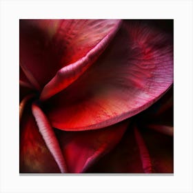 Red Plumeria Canvas Print