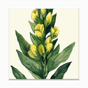 Yellow Lily Canvas Print