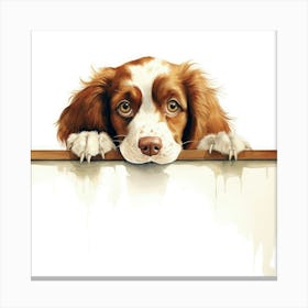 Spaniel Welsh Springer 1 Canvas Print