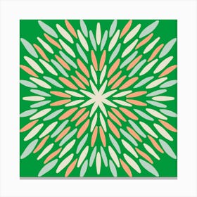 Petal Burst - green and peach Canvas Print