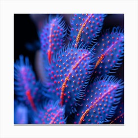 Cactus Canvas Print