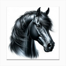 Creative Horse Beauty Illustration Nr 193 Canvas Print