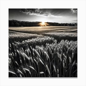 Sunset In A Wheat Field 6 Canvas Print