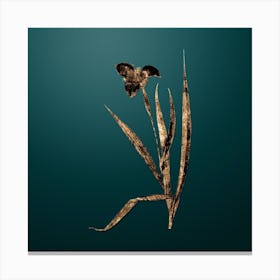 Gold Botanical Tiger Flower on Dark Teal Canvas Print