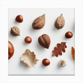 Autumn Nut and Leaves And Nuts Canvas Print