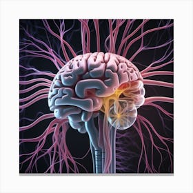 Brain And Spinal Cord 13 Canvas Print