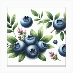 Blueberry 1 Canvas Print