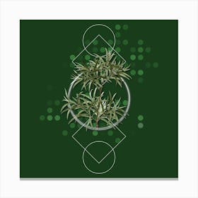 Vintage Bitter Willow Botanical with Geometric Line Motif and Dot Pattern n.0042 Canvas Print