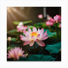 Lotus Pond Is Filled With Cloudy Milky Nectar E Canvas Print