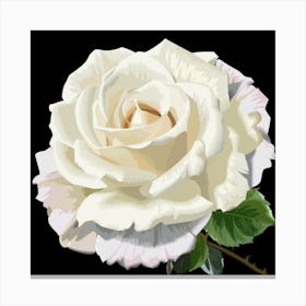 White Rose Canvas Print