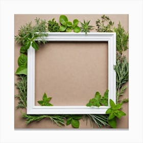 Frame With Herbs 7 Canvas Print