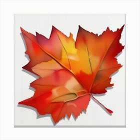 Maple Leaf Canvas Print