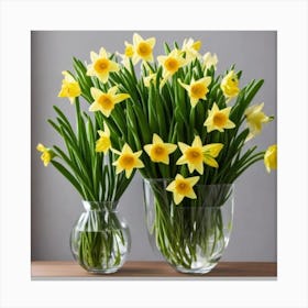 Daffodils 4 Canvas Print