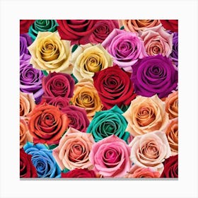 Colorful Roses 22 Canvas Print