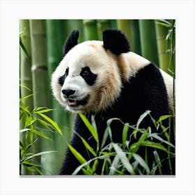 Panda Bear In Bamboo Forest Canvas Print