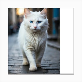 White Cat With Blue Eyes Canvas Print